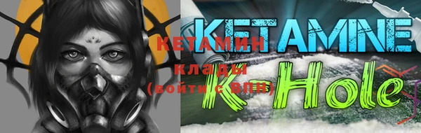 соль ск Няндома