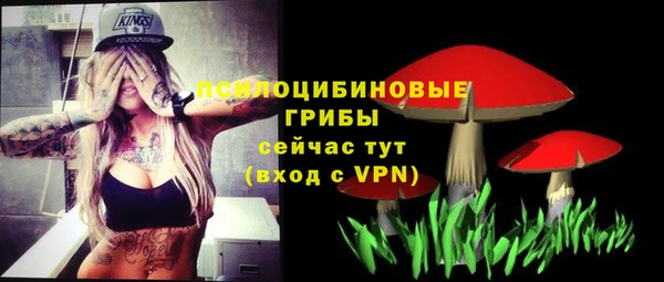 мет Нягань