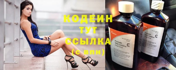 соль ск Няндома