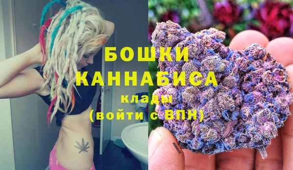 соль ск Няндома