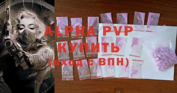 ешки Новозыбков