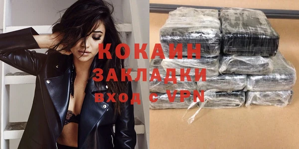 соль ск Няндома