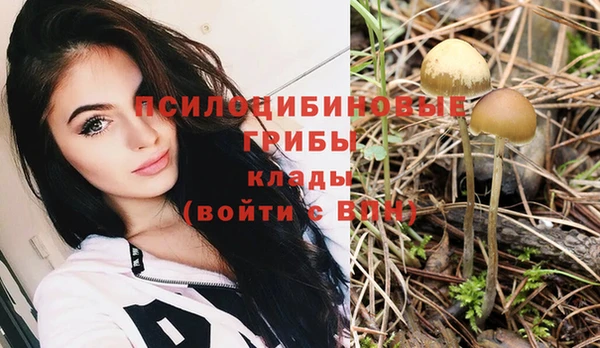 дживик Тосно