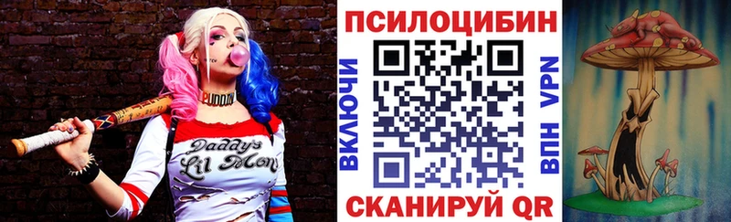 Галлюциногенные грибы Cubensis  наркошоп  Райчихинск 